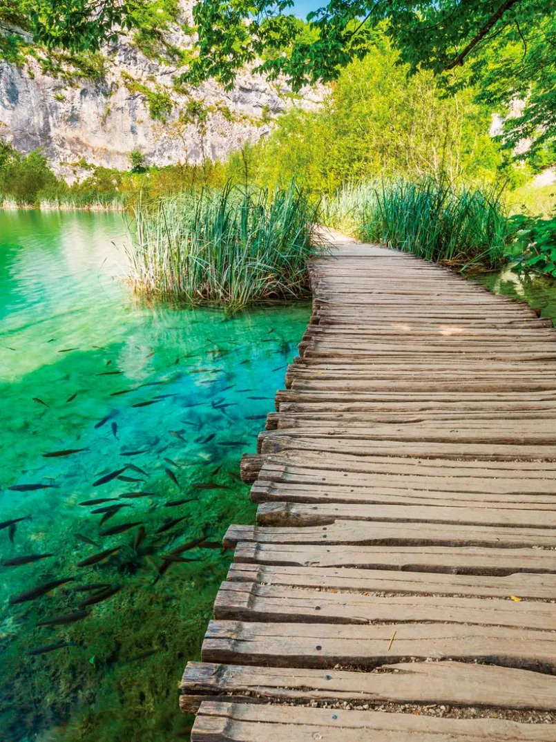 Bilder Nach Themen|EUROART Wandbild 60 x 80 cm Beautiful path II Grün