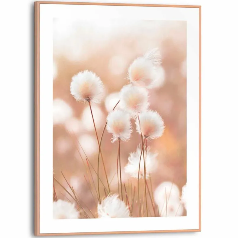 Reinders Bilder Mit Rahmen-Wandbild 30 x 40 cm Cotton Pops Beige