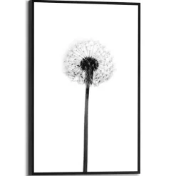Bilder Mit Rahmen|Reinders Wandbild 20 x 30 cm Dandelion Bunt