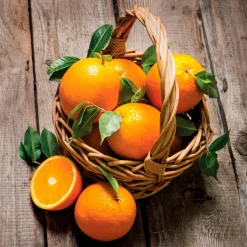 EUROART Bilder Ohne Rahmen-Wandbild 30 x 30 cm Fresh s IV Orange
