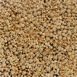 KARE DESIGN Wandobjekte|Bilder Mit Rahmen-Wandbild 120 x 120 cm Flower 39249 Gold