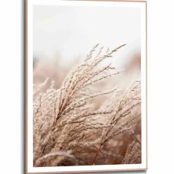 Bilder Mit Rahmen|Bilder Nach Themen|Reinders Wandbild 50 x 70 cm Gräser Beige