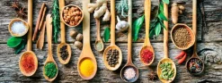 EUROART Bilder Nach Themen-Wandbild 80 x 30 cm Herbs and Spices Bunt