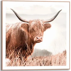 Reinders Bilder Mit Rahmen|Bilder Nach Themen-Wandbild 50 x 50 cm Highlander Beige