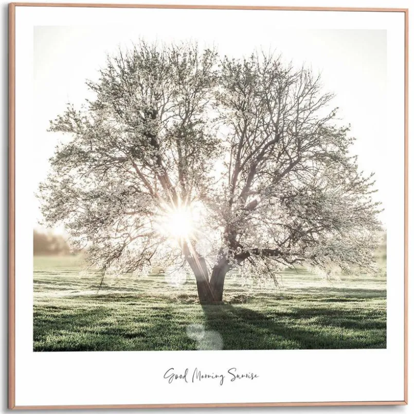 Bilder Mit Rahmen|Bilder Nach Themen|Reinders Wandbild 50 x 50 cm Morgensonne Grün
