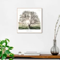 Bilder Mit Rahmen|Bilder Nach Themen|Reinders Wandbild 50 x 50 cm Morgensonne Grün