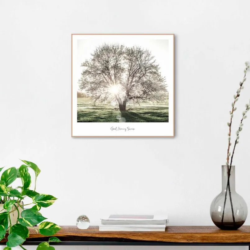 Bilder Mit Rahmen|Bilder Nach Themen|Reinders Wandbild 50 x 50 cm Morgensonne Grün
