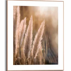 Bilder Mit Rahmen|Bilder Nach Themen|Reinders Wandbild 40 x 50 cm Pampas Beige