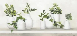 Bilder Ohne Rahmen|EUROART Wandbild 55 x 115 cm Plant Life I Grün
