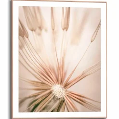 Bilder Mit Rahmen|Bilder Nach Themen|Reinders Wandbild 40 x 50 cm Pusteblume Beige