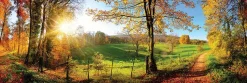 EUROART Bilder Nach Themen-Wandbild 60 x 180 cm Romantic View Grün