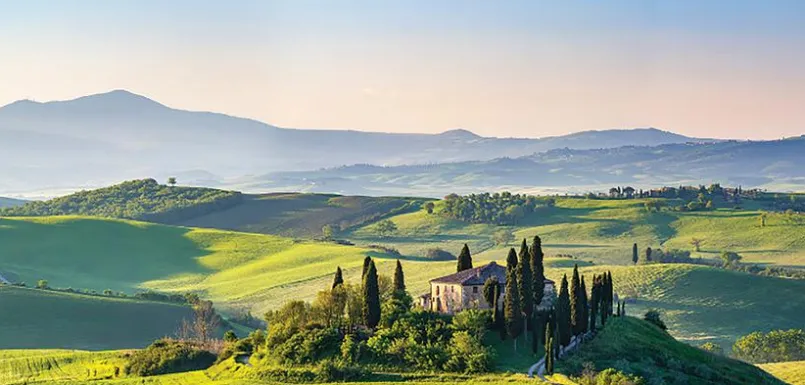 Bilder Nach Themen|EUROART Wandbild 55 x 115 cm Tuscany Spirit VI Grün