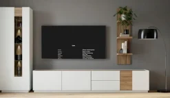 Wandboard Lewisville<FORTE Hot