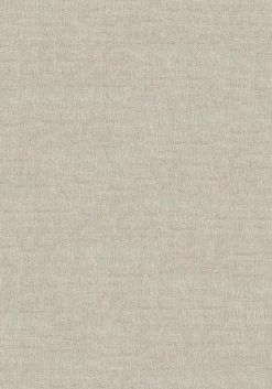 Paulig Teppiche Natur(Look) Teppiche-Webteppich Beat Moda 250 x 350 cm Beige