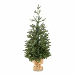 Weihnachtsbaum Zwergfichte 90 cm<