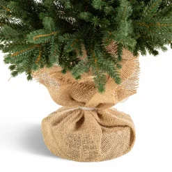 Weihnachtsbaum Zwergfichte 90 cm<