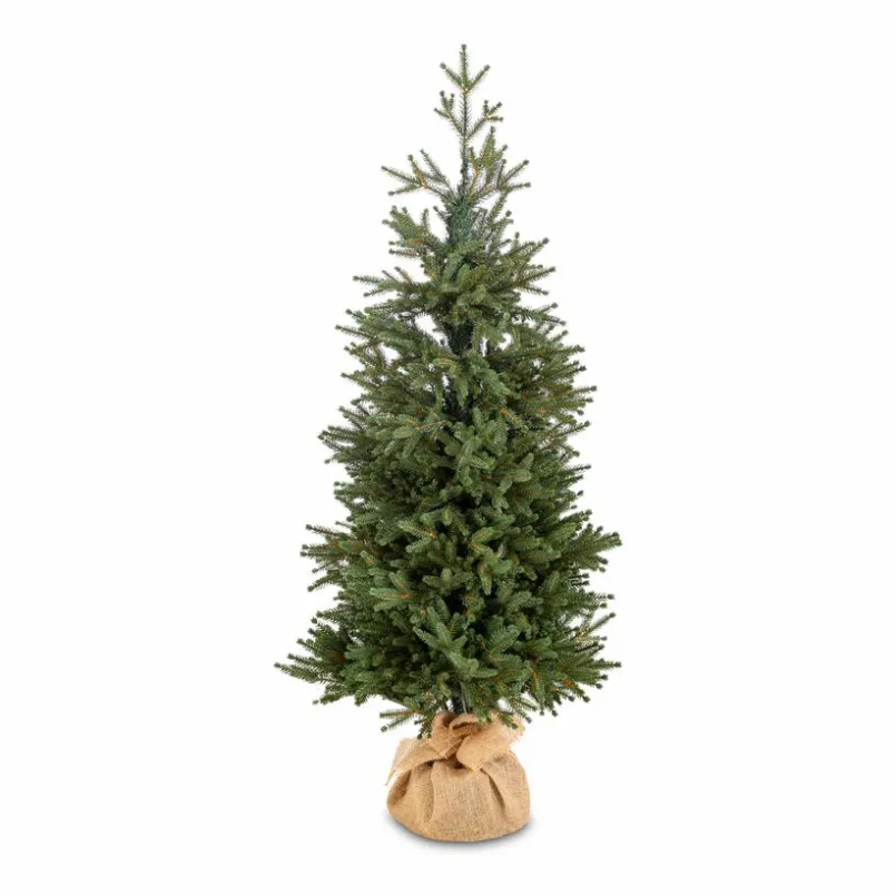 Weihnachtsbaum Zwergfichte 120 cm< Sale