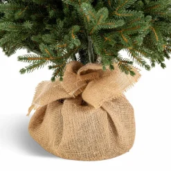 Weihnachtsbaum Zwergfichte 120 cm< Sale