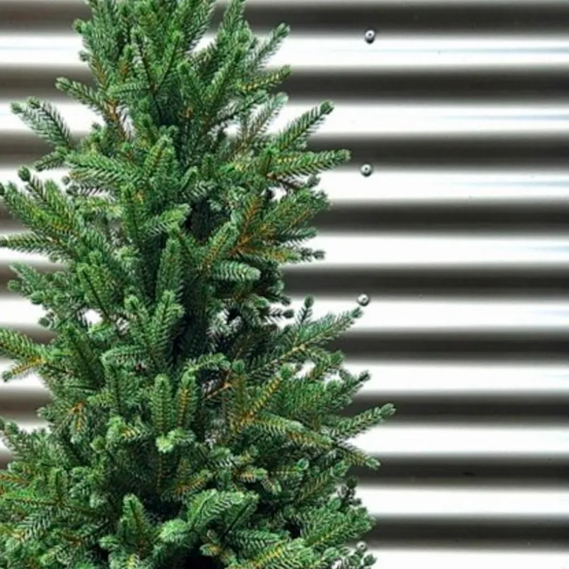 Weihnachtsbaum Zwergfichte 120 cm< Sale