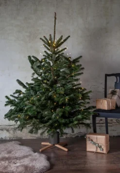 Für Den Weihnachtsbaum|Star Trading Weihnachtsbaumständer Granig Braun