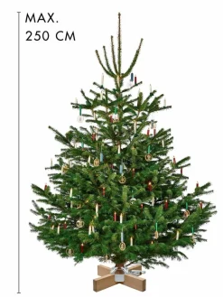Für Den Weihnachtsbaum-Weihnachtsbaumständer Kopenhagen Weiß