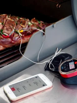 Zubehör IGrill<Weber Sale